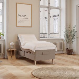 Ragna Nordlys || Brun