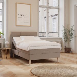 Ragna Fjäll || Brun